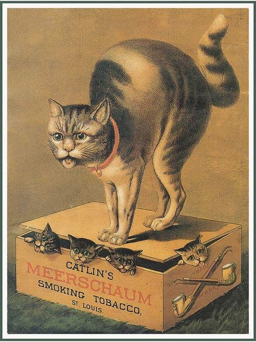Открытка на 23 с котами. Винтажные плакаты кот. Винтажные открытки с котом. Плакаты с котами. Старые открытки с котами.