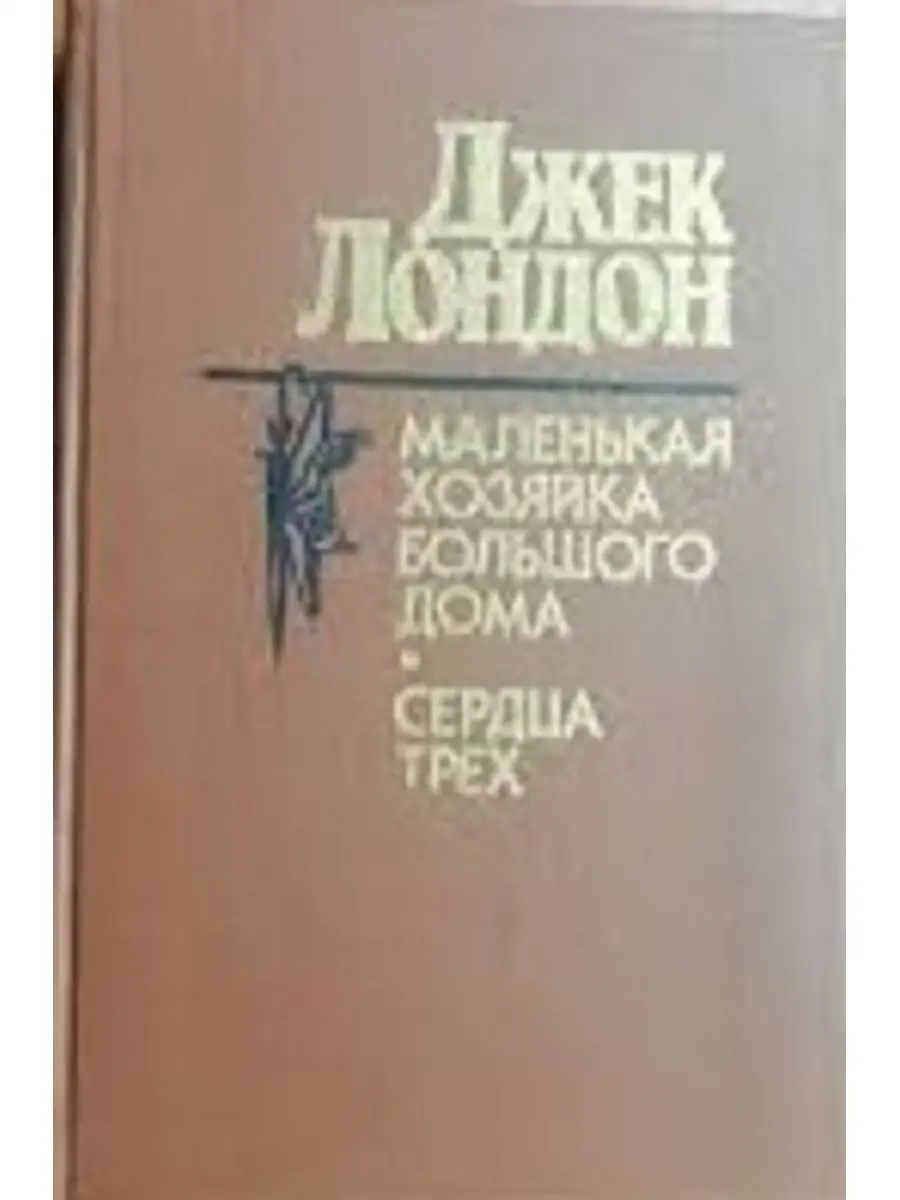 Маленькая хозяйка большого дома Народная асвета 160012859 купить за 285 ₽ в  интернет-магазине Wildberries