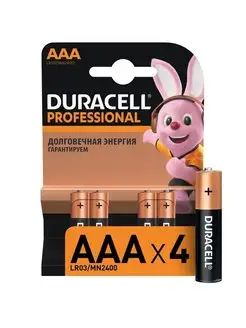 Батарейки мизинчиковые ААА, 4 штуки DURACELL 160025676 купить за 110 ₽ в интернет-магазине Wildberries