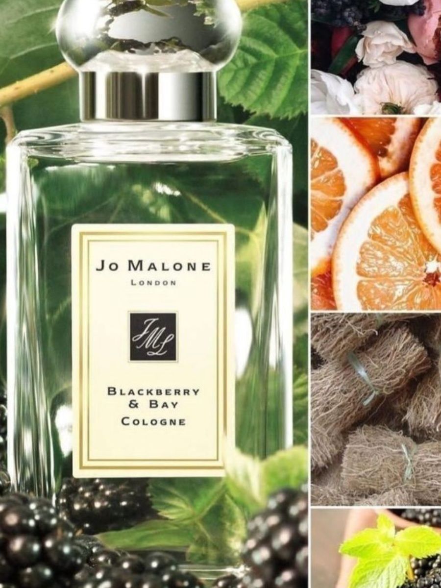 Blackberry bay jo malone london