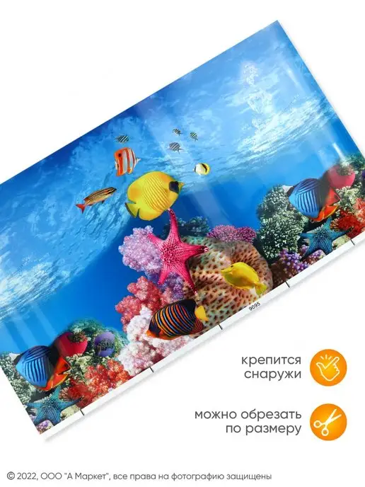 А М Дизайн Пленка для аквариума с рисунком, голубой, фото 2