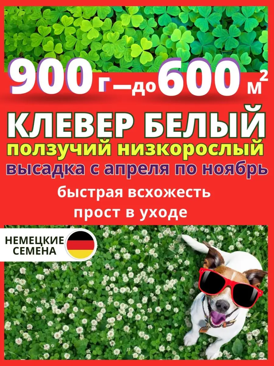 Низкорослый клевер белый для газона семена Semena 160193047 купить за 2 671  ₽ в интернет-магазине Wildberries