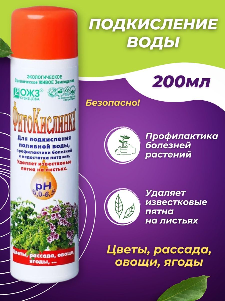 Фитокислинка